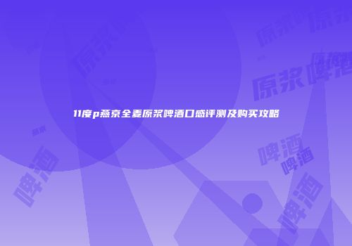 11度p燕京全麦原浆啤酒口感评测及购买攻略