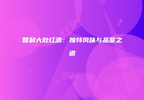 智利大肚红酒：独特风味与品鉴之道