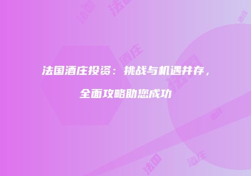 法国酒庄投资：挑战与机遇并存，全面攻略助您成功