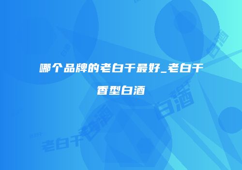 哪个品牌的老白干最好_老白干香型白酒