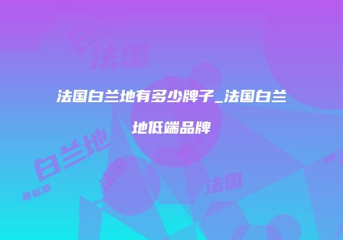 法国白兰地有多少牌子_法国白兰地低端品牌