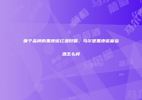 哪个品牌的黑皮诺红酒好喝，马尔堡黑皮诺葡萄酒怎么样