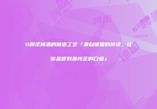11原浆啤酒的酿造工艺「来自德国的传统，让你品尝到最纯正的口感」