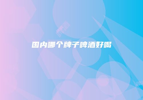 国内哪个牌子啤酒好喝