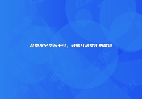 品鉴济宁华东干红，领略红酒文化的精髓