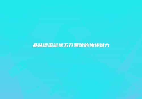 品味德国雄狮五升黑啤的独特魅力