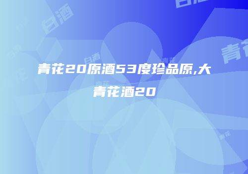 青花20原酒53度珍品原,大青花酒20