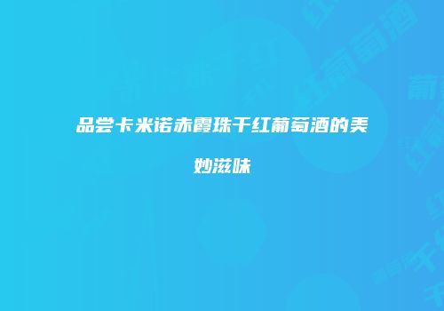 品尝卡米诺赤霞珠干红葡萄酒的美妙滋味