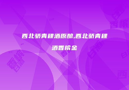 西北骄青稞酒原酿,西北骄青稞酒香槟金