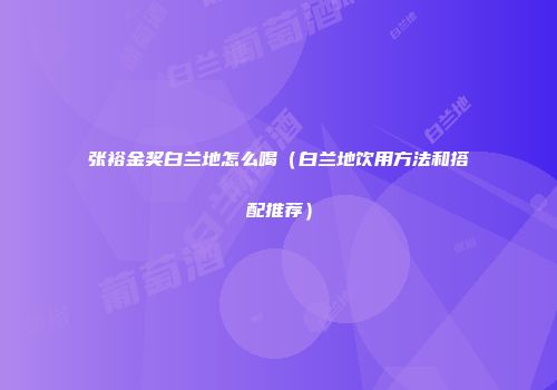 张裕金奖白兰地怎么喝（白兰地饮用方法和搭配推荐）