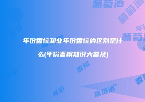年份香槟和非年份香槟的区别是什么(年份香槟知识大普及)