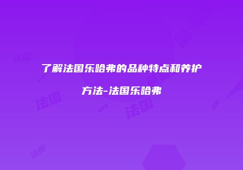 了解法国乐哈弗的品种特点和养护方法-法国乐哈弗