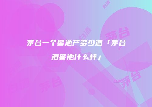 茅台一个窖池产多少酒「茅台酒窖池什么样」