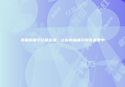 美国粉黛干红葡萄酒，让你的味蕾沉醉在果香中