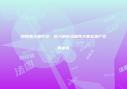 勃艮第与波尔多：深入解析法国两大葡萄酒产区的差异