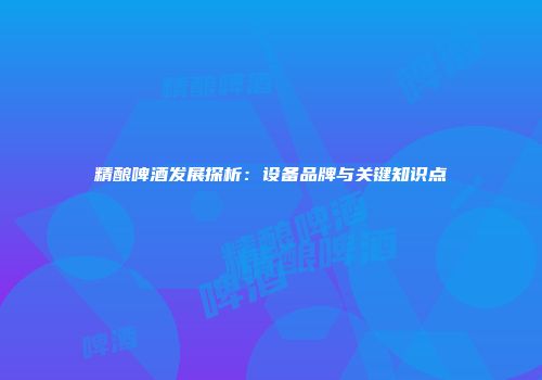 精酿啤酒发展探析：设备品牌与关键知识点