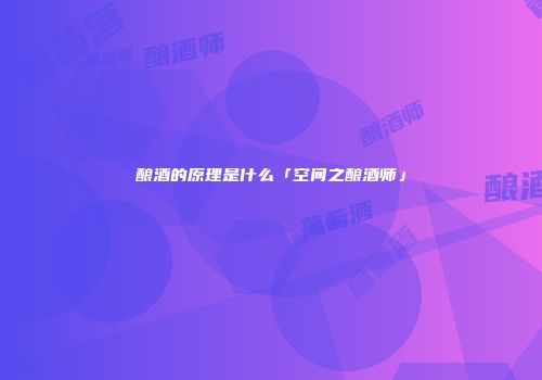 酿酒的原理是什么「空间之酿酒师」