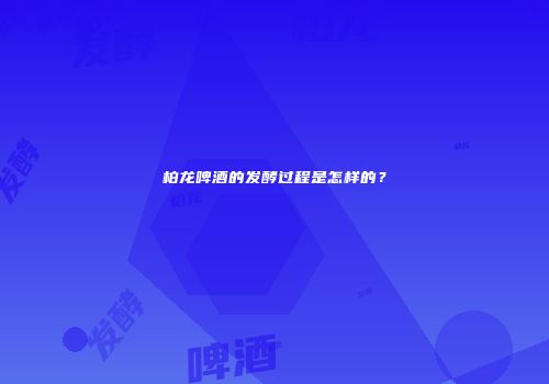 柏龙啤酒的发酵过程是怎样的？