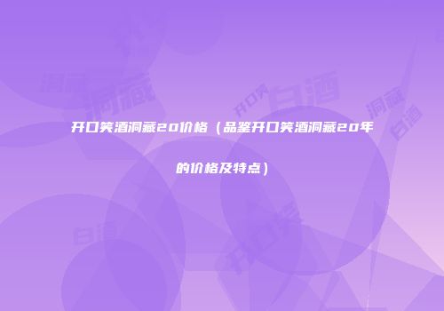开口笑酒洞藏20价格（品鉴开口笑酒洞藏20年的价格及特点）