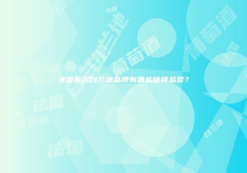 法国著名白兰地品牌有哪些值得品尝？