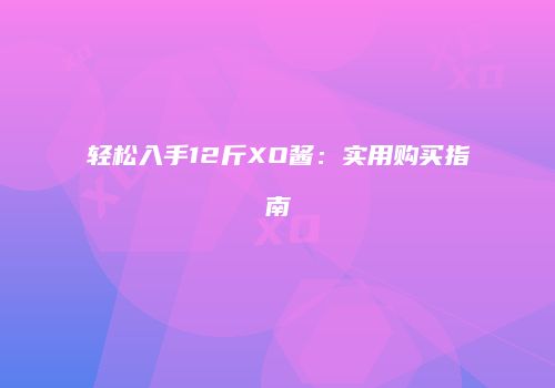 轻松入手12斤XO酱：实用购买指南