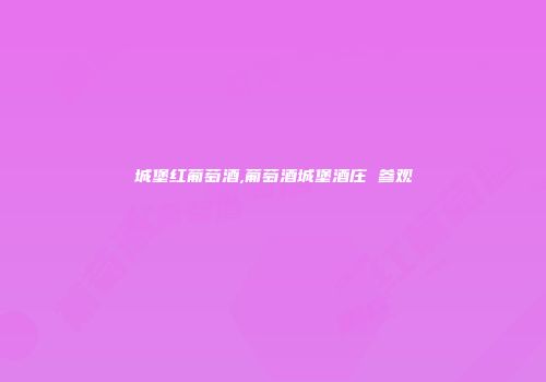 城堡红葡萄酒,葡萄酒城堡酒庄 参观