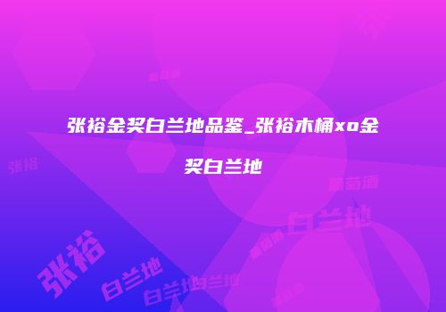 张裕金奖白兰地品鉴_张裕木桶xo金奖白兰地