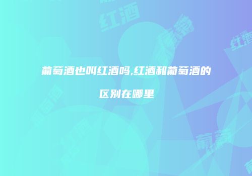 葡萄酒也叫红酒吗,红酒和葡萄酒的区别在哪里