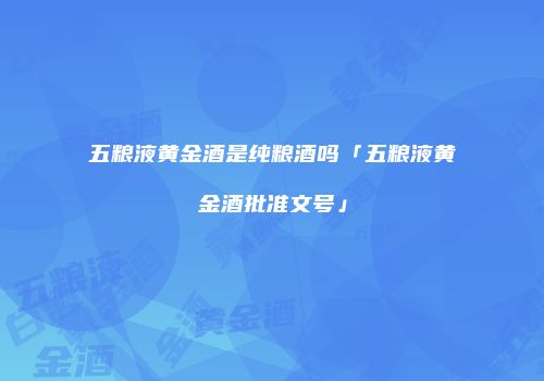 五粮液黄金酒是纯粮酒吗「五粮液黄金酒批准文号」