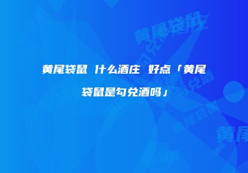 黄尾袋鼠 什么酒庄 好点「黄尾袋鼠是勾兑酒吗」