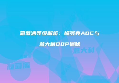 葡萄酒等级解析：梅多克AOC与意大利DOP揭秘