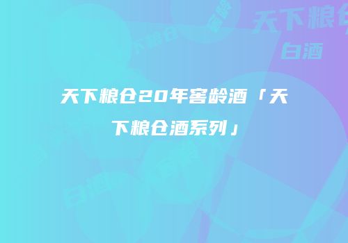 天下粮仓20年窖龄酒「天下粮仓酒系列」