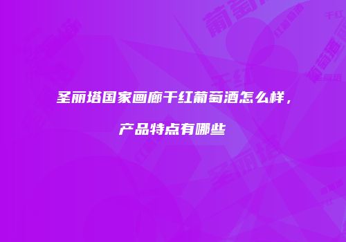 圣丽塔国家画廊干红葡萄酒怎么样，产品特点有哪些