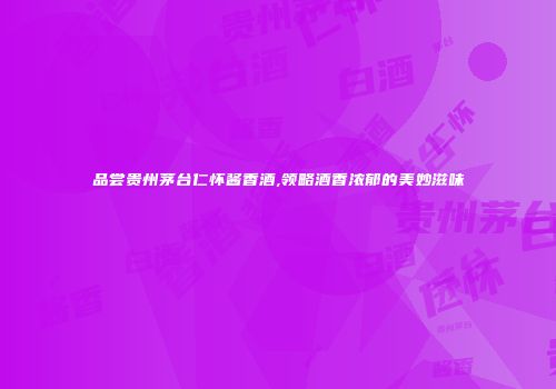 品尝贵州茅台仁怀酱香酒,领略酒香浓郁的美妙滋味