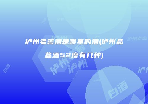 泸州老窖酒是哪里的酒(泸州品鉴酒52度有几种)