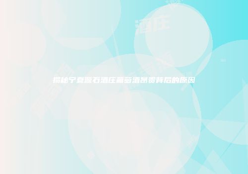 揭秘宁夏源石酒庄葡萄酒昂贵背后的原因