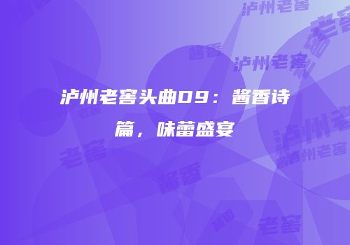 泸州老窖头曲D9：酱香诗篇，味蕾盛宴
