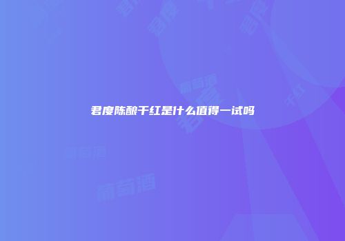 君度陈酿干红是什么值得一试吗