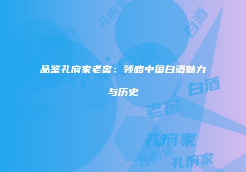 品鉴孔府家老窖：领略中国白酒魅力与历史