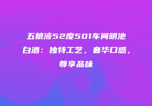 五粮液52度501车间明池白酒：独特工艺，奢华口感，尊享品味