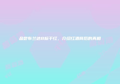 品尝布兰达B标干红，介绍红酒背后的真相