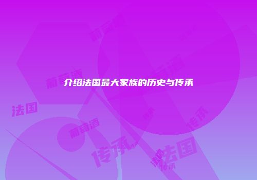 介绍法国最大家族的历史与传承