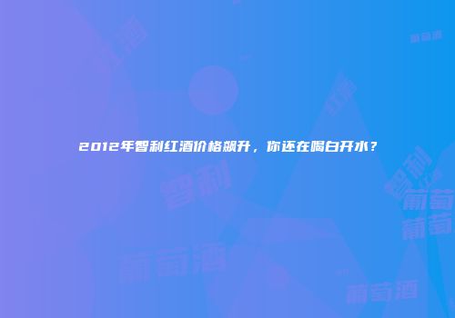 2012年智利红酒价格飙升，你还在喝白开水？