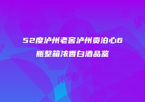 52度泸州老窖泸州贡泊心6瓶整箱浓香白酒品鉴