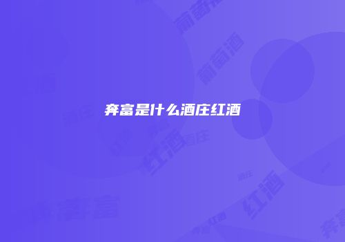 奔富是什么酒庄红酒