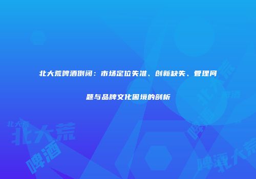北大荒啤酒倒闭：市场定位失准、创新缺失、管理问题与品牌文化困境的剖析