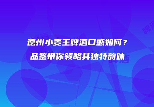 德州小麦王啤酒口感如何？品鉴带你领略其独特韵味