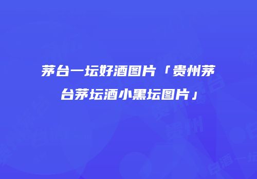 茅台一坛好酒图片「贵州茅台茅坛酒小黑坛图片」