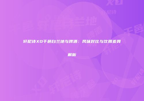轩尼诗XO干邑白兰地与啤酒：风味对比与饮用差异解析