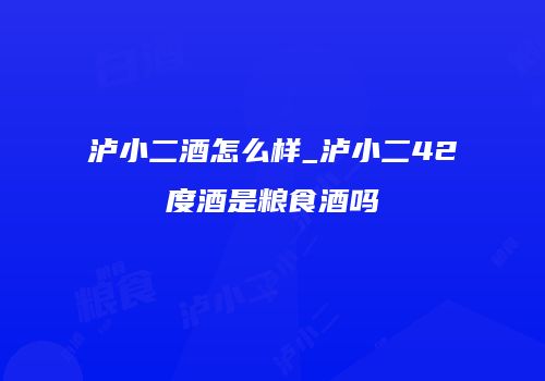 泸小二酒怎么样_泸小二42度酒是粮食酒吗